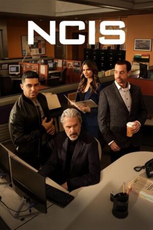 Ncis: Season22 (5pc) / (Sgnl)