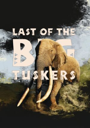 Last Of The Big Tuskers [DVD]