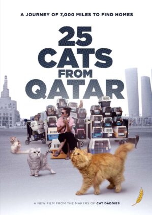 25 Cats From Qatar [DVD]