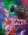 Visitors From The Arkana Galaxy