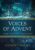 Voices of Advent DVD: The Bible’s Insights for a Season of Hope